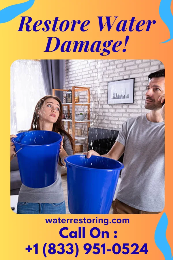 water restoration Solid Damage Restoration Specialists Luna Pier