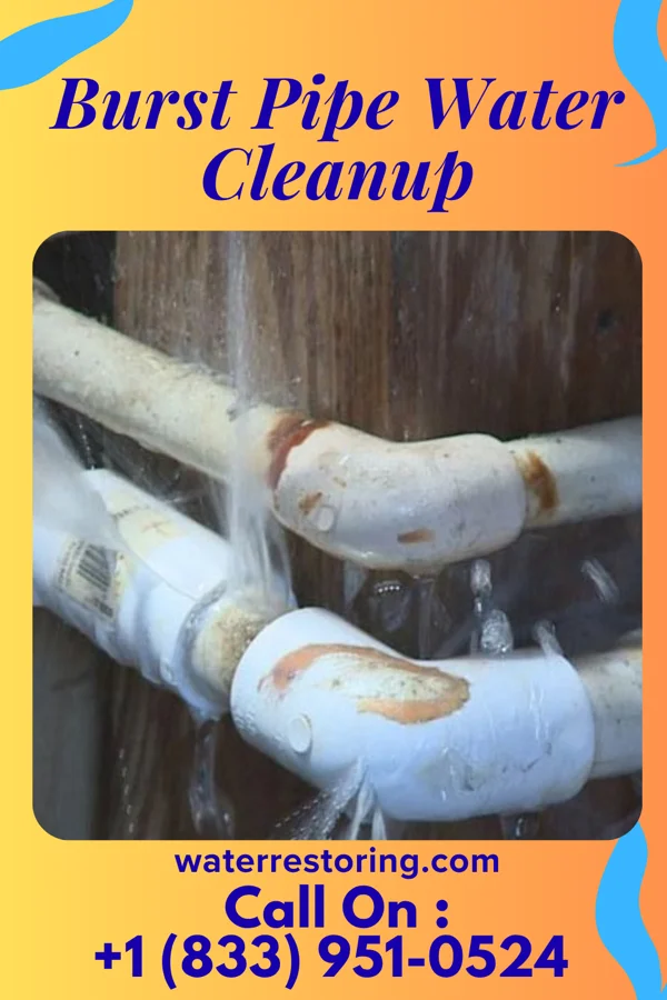 Burst Pipe Water Cleanup in Luna Pier, MI