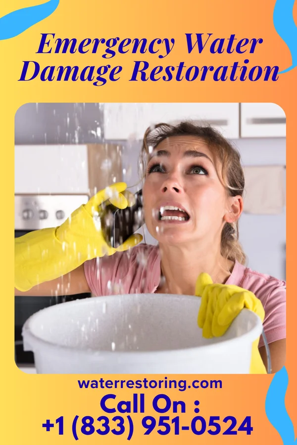 Emergency Water Damage Restoration in Luna Pier, MI