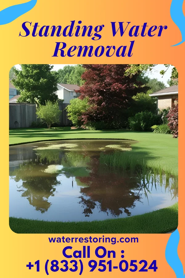 Standing Water Removal in Luna Pier, MI